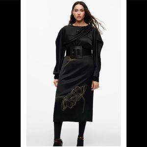 Zara embroidered dress limited edition